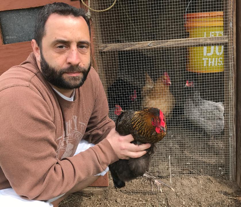 keeping chickens in nj