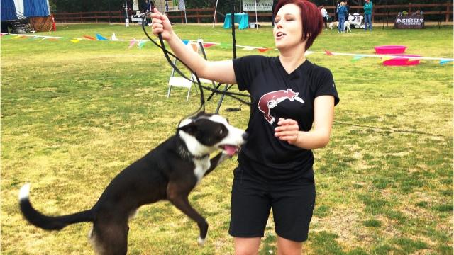 Bark in the Park - Conejo Recreation and Park District